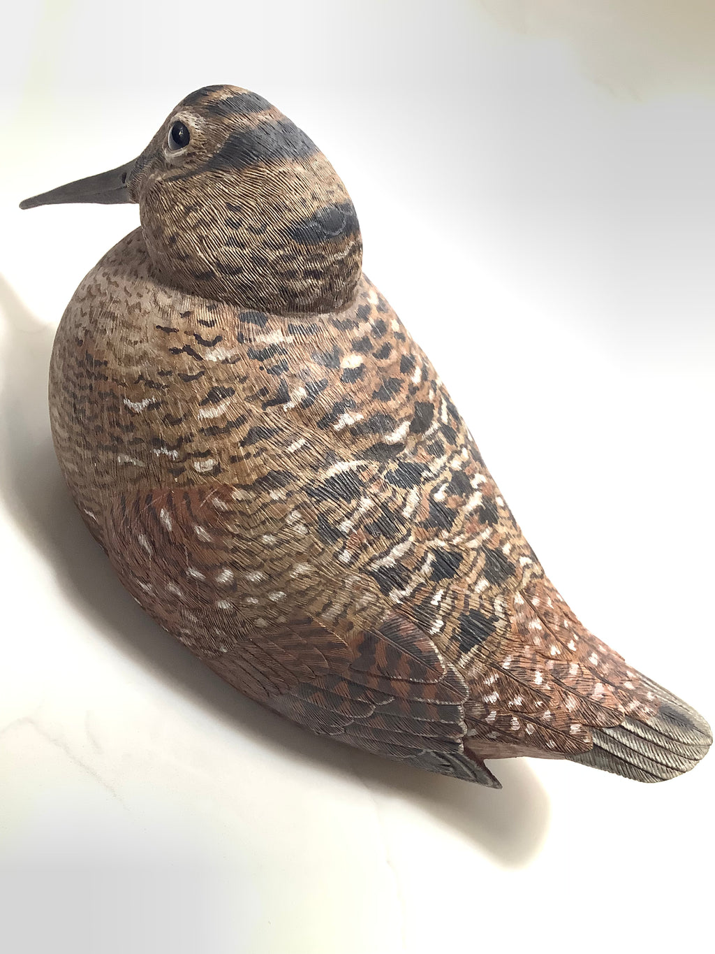 Stunning Hand Carved & Painted Woodcock By Award Winning Wood Carver COLIN CLARK