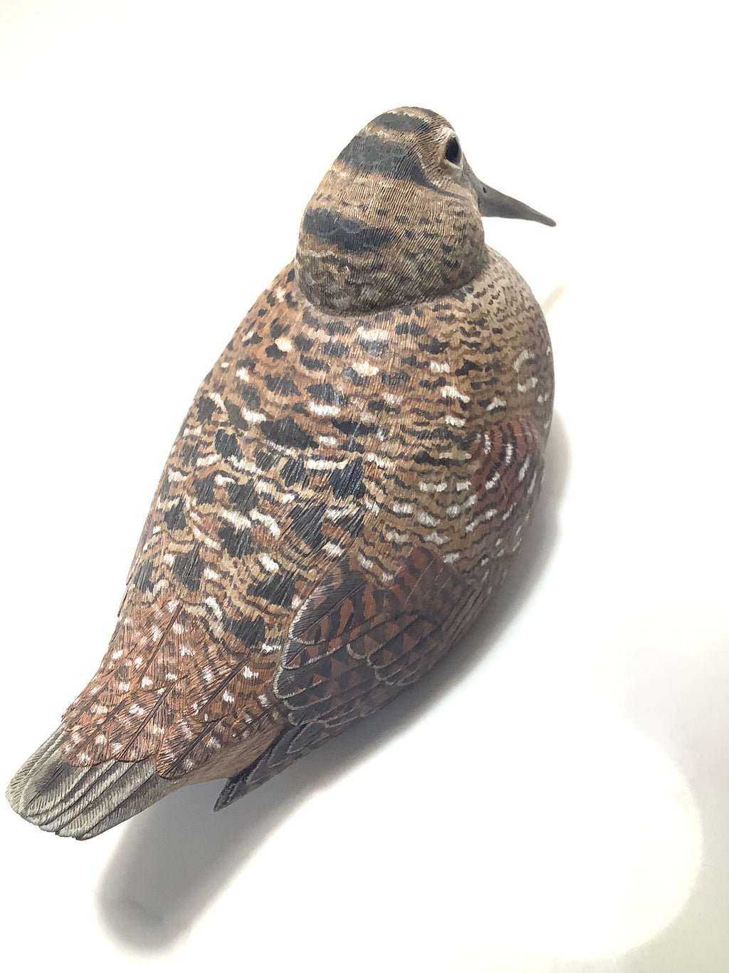 Stunning Hand Carved & Painted Woodcock By Award Winning Wood Carver COLIN CLARK