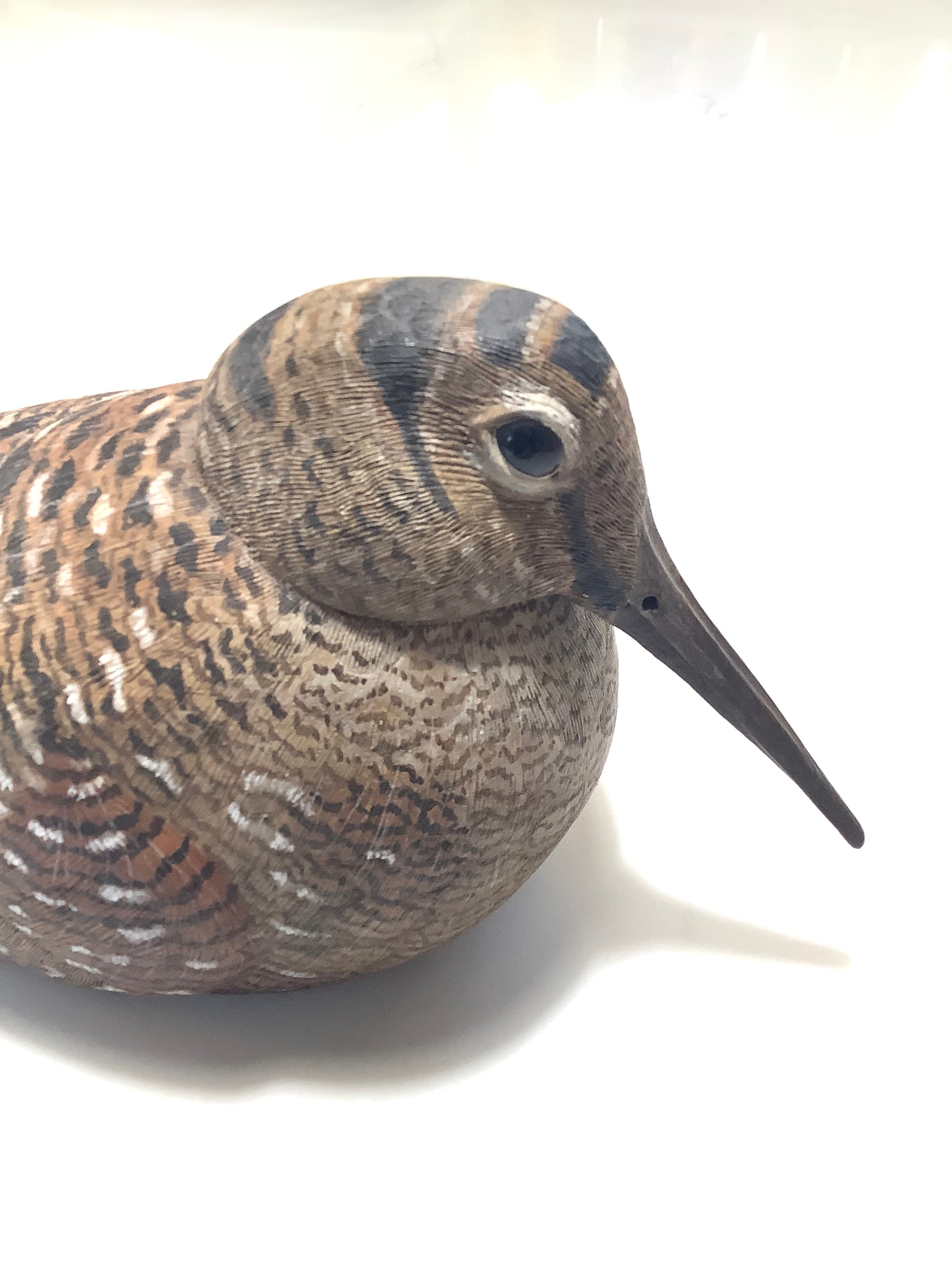 Stunning Hand Carved & Painted Woodcock By Award Winning Wood Carver COLIN CLARK
