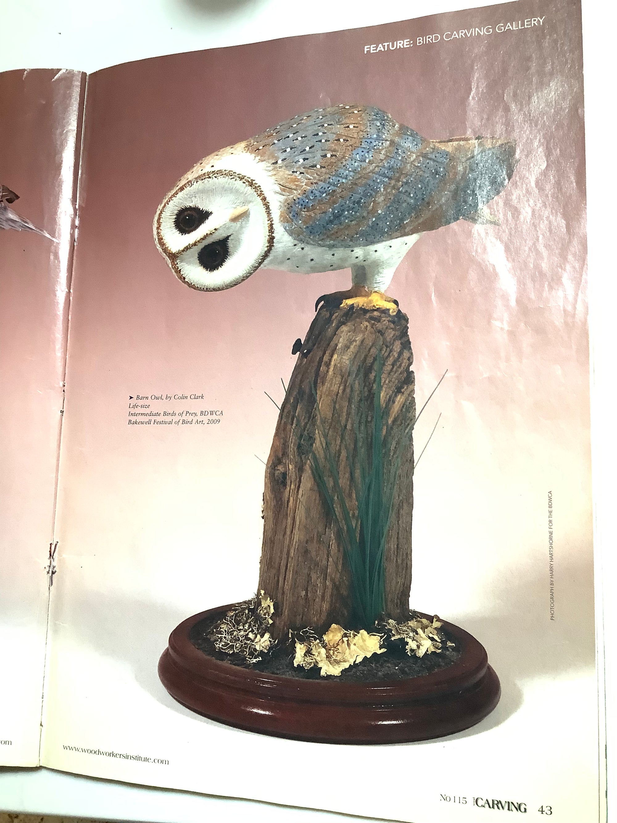 Stunning Hand Carved & Painted Woodcock By Award Winning Wood Carver COLIN CLARK