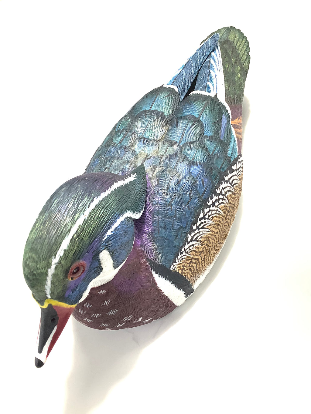 Hand Carved Painted WOOD DUCK By Master Carver Colin Clark BDWCA Award Winner