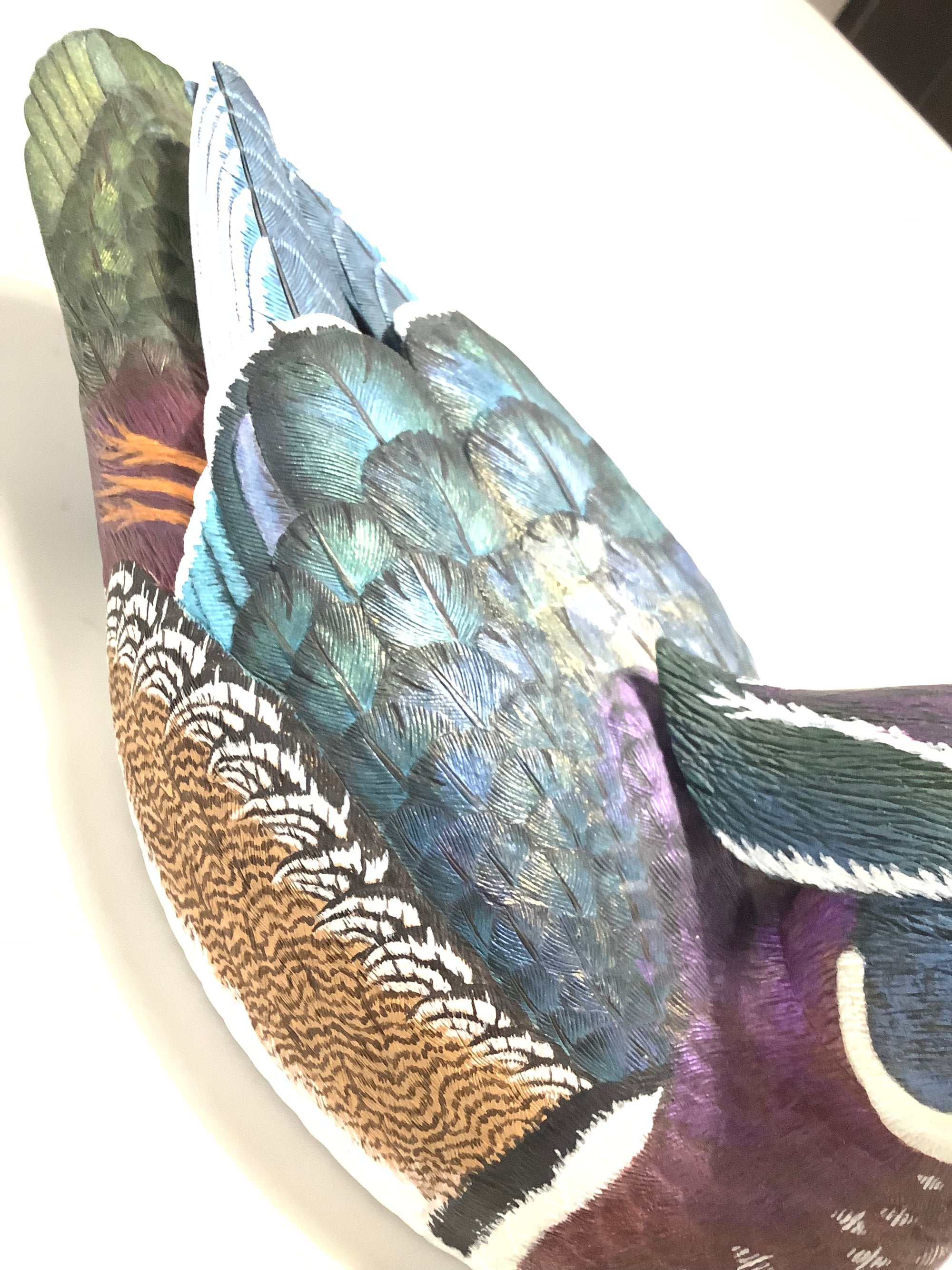 Hand Carved Painted WOOD DUCK By Master Carver Colin Clark BDWCA Award Winner