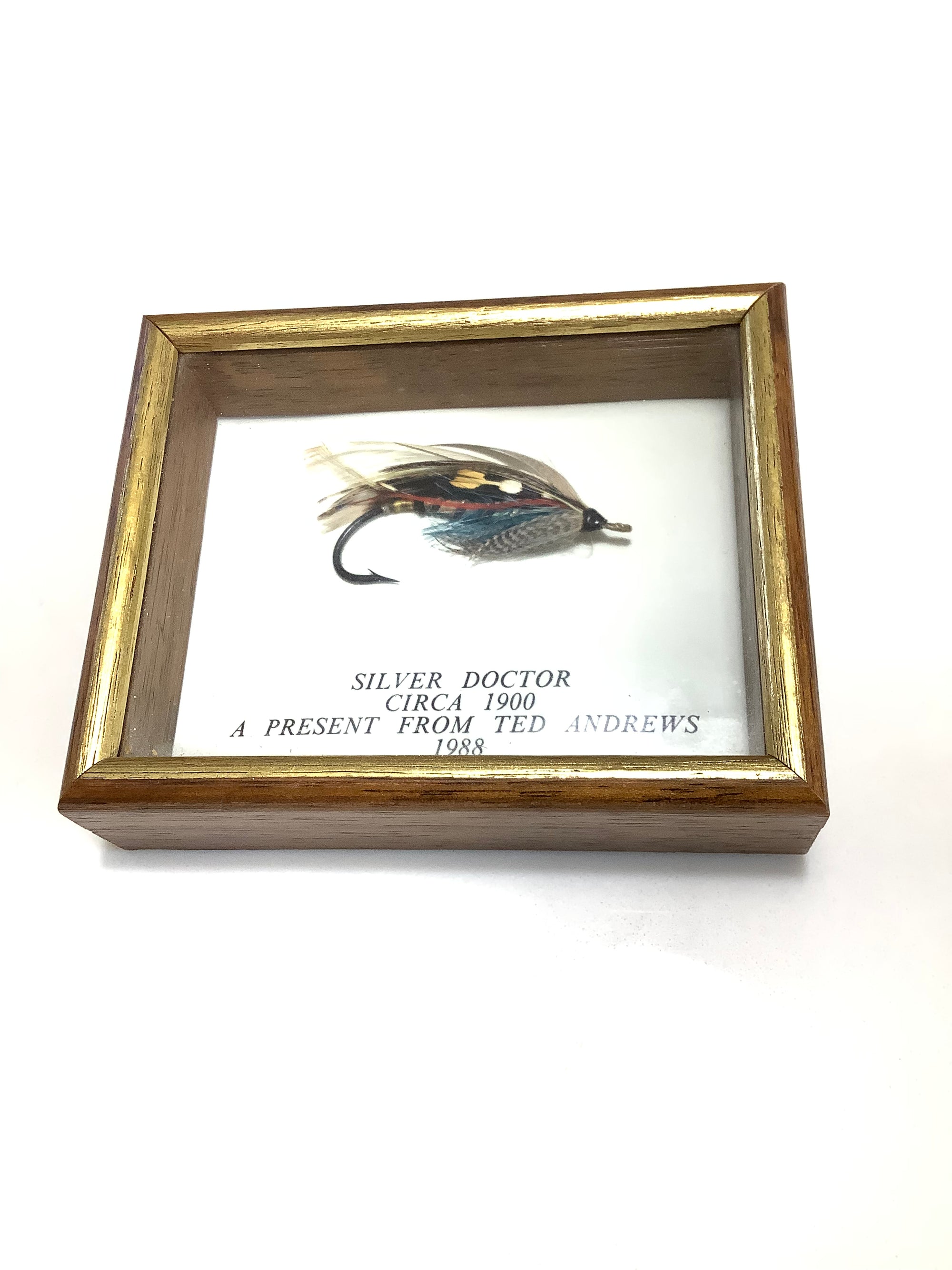 Presentation Fully Dressed “ Silver Doctor” Salmon fly in a cased Frame By Ted Andrew’s