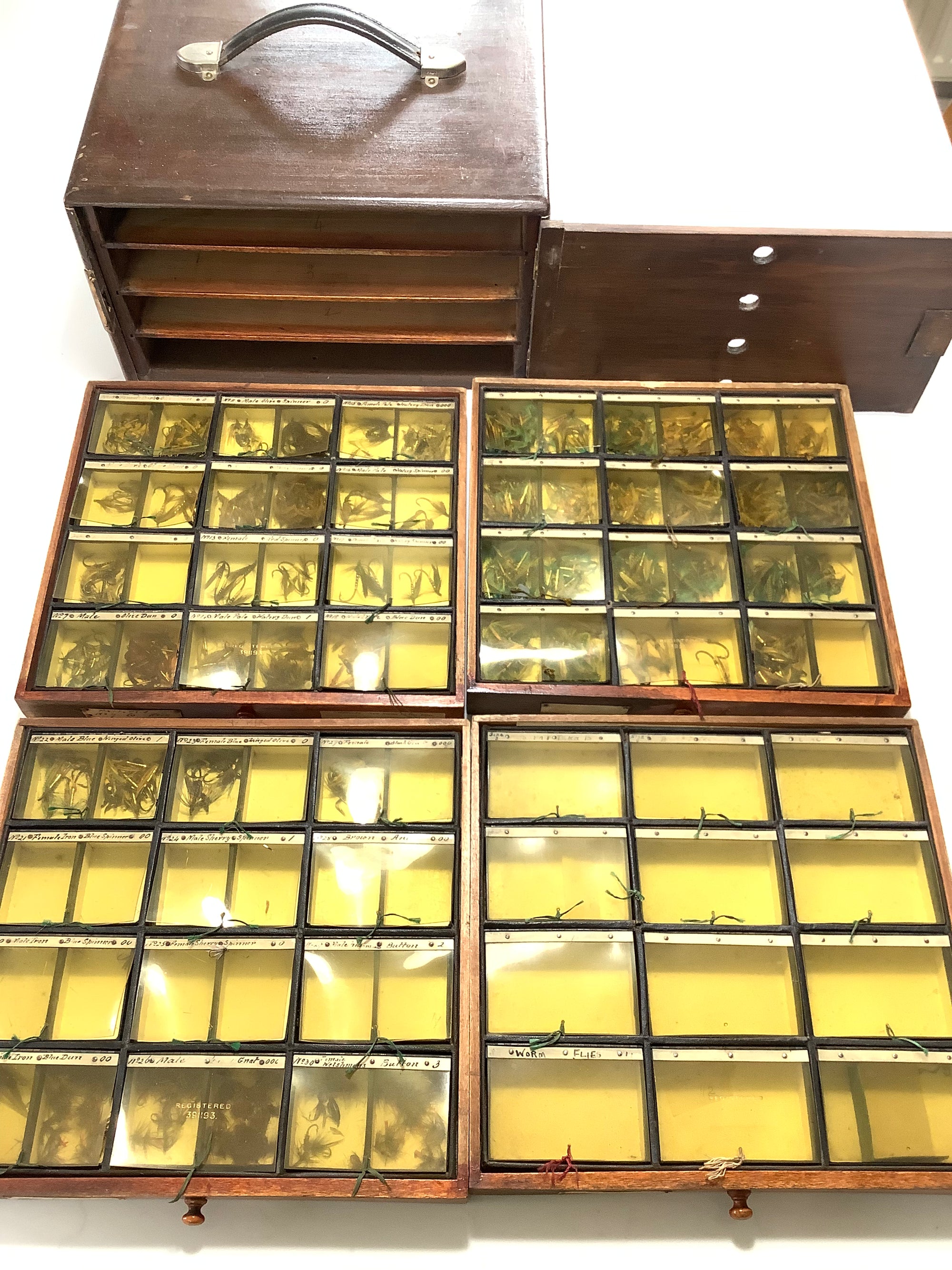 Antique Hardwood Fly Cabinet with 100s of Flies