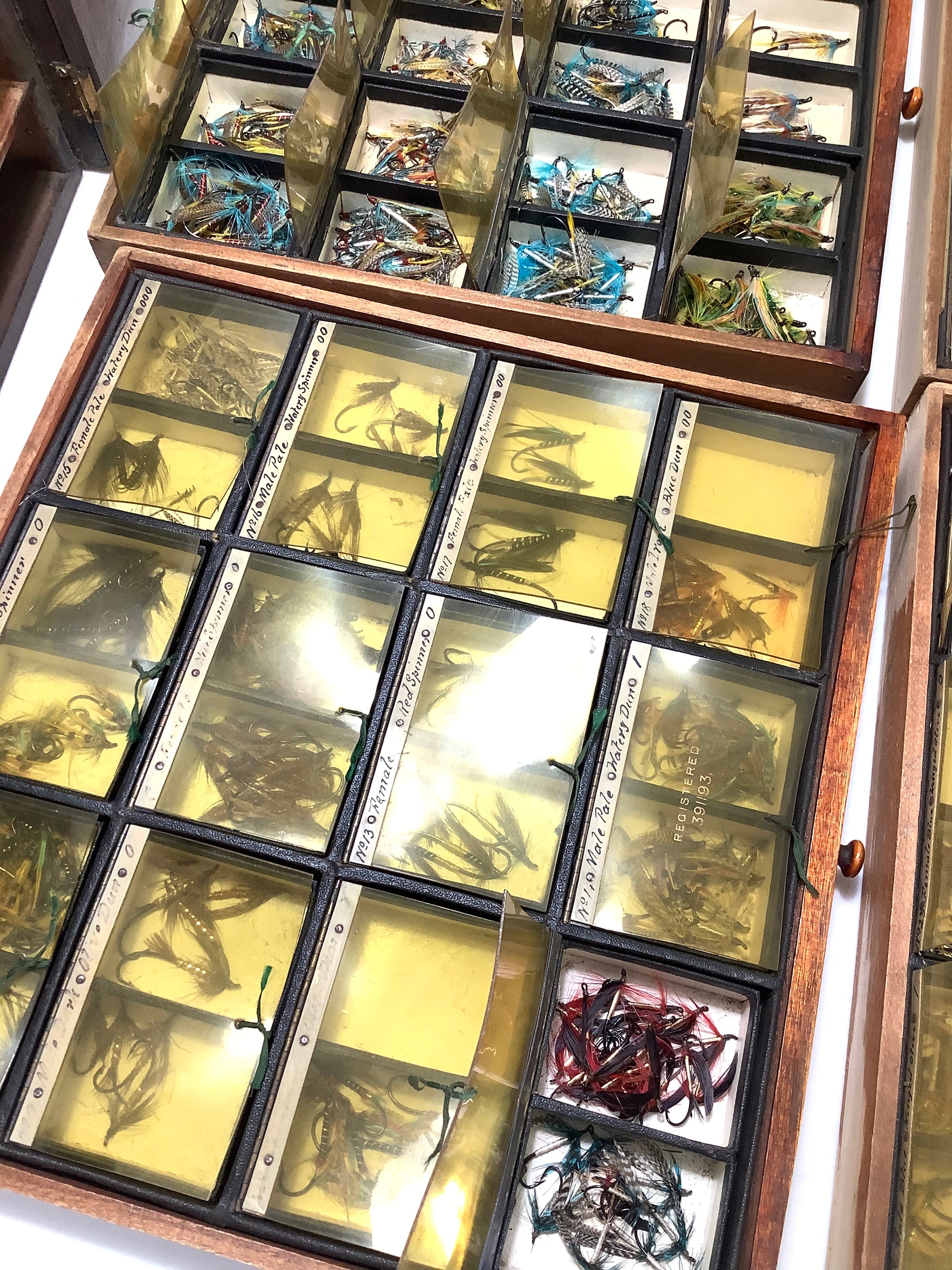 Antique Hardwood Fly Cabinet with 100s of Flies