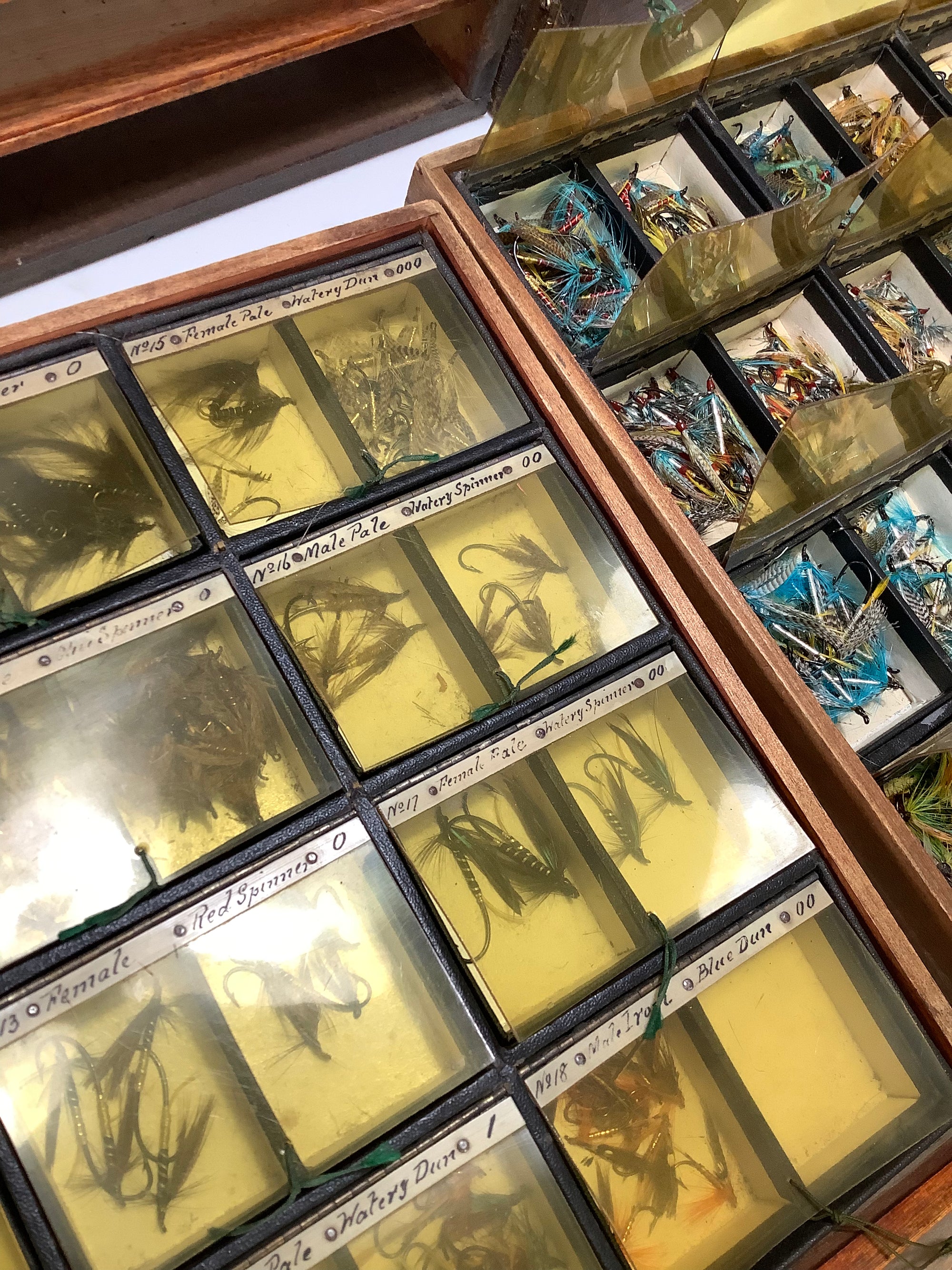 Antique Hardwood Fly Cabinet with 100s of Flies