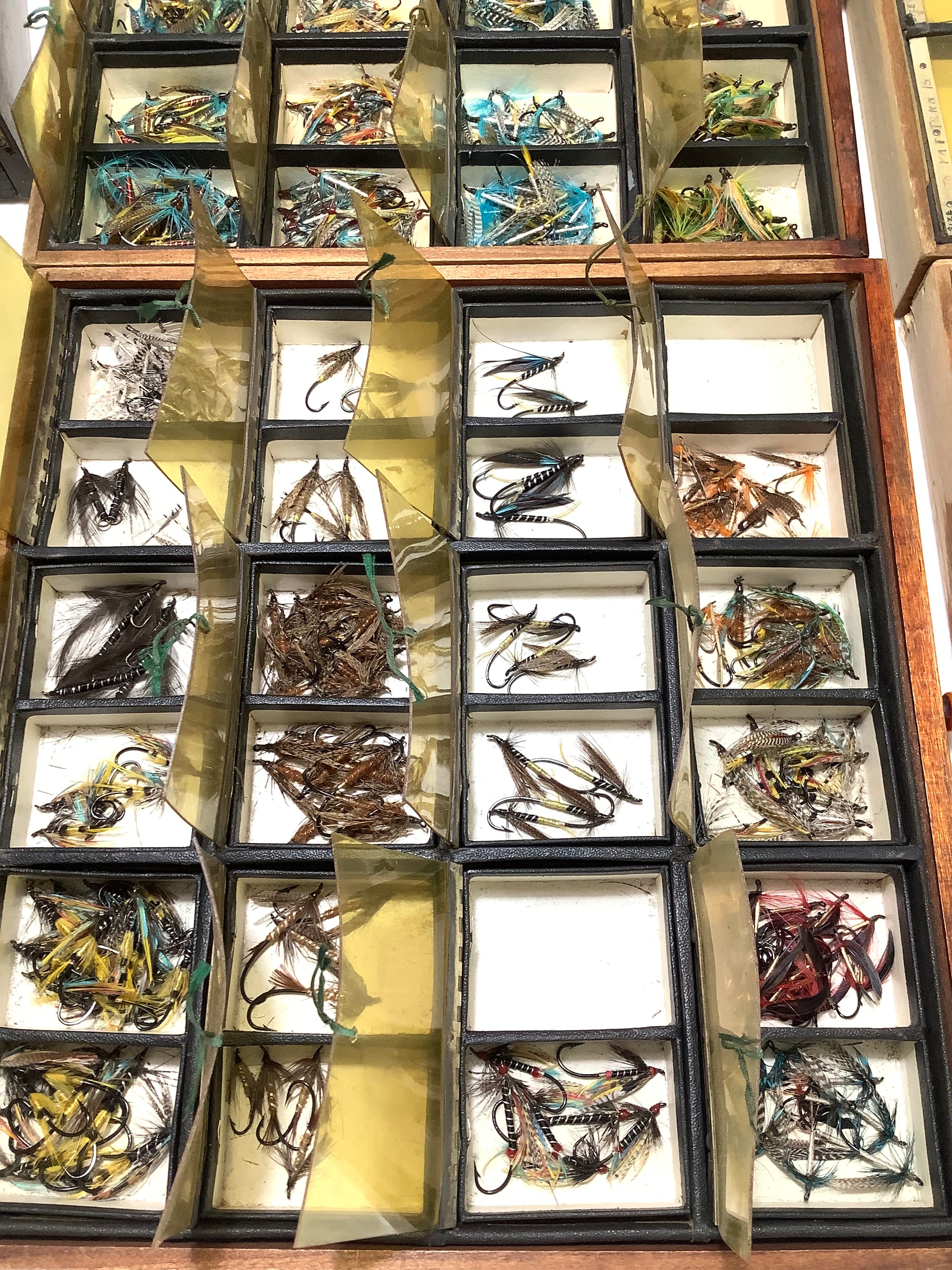 Antique Hardwood Fly Cabinet with 100s of Flies