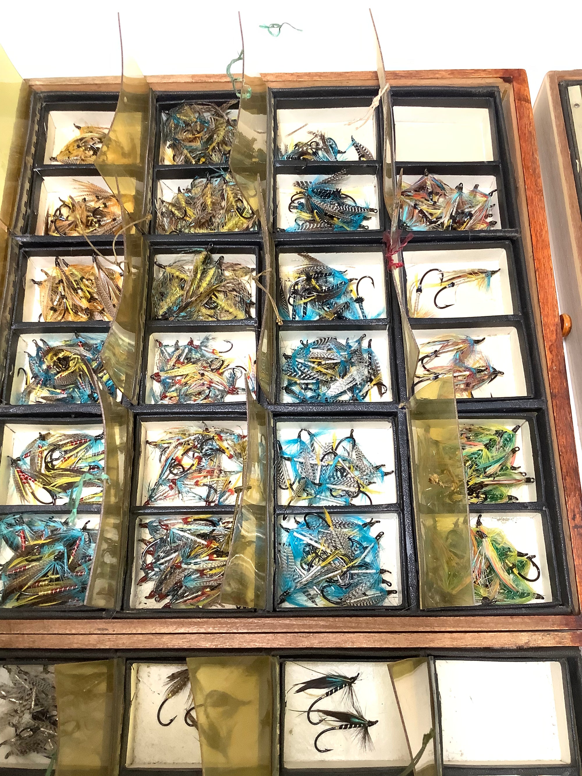 Antique Hardwood Fly Cabinet with 100s of Flies