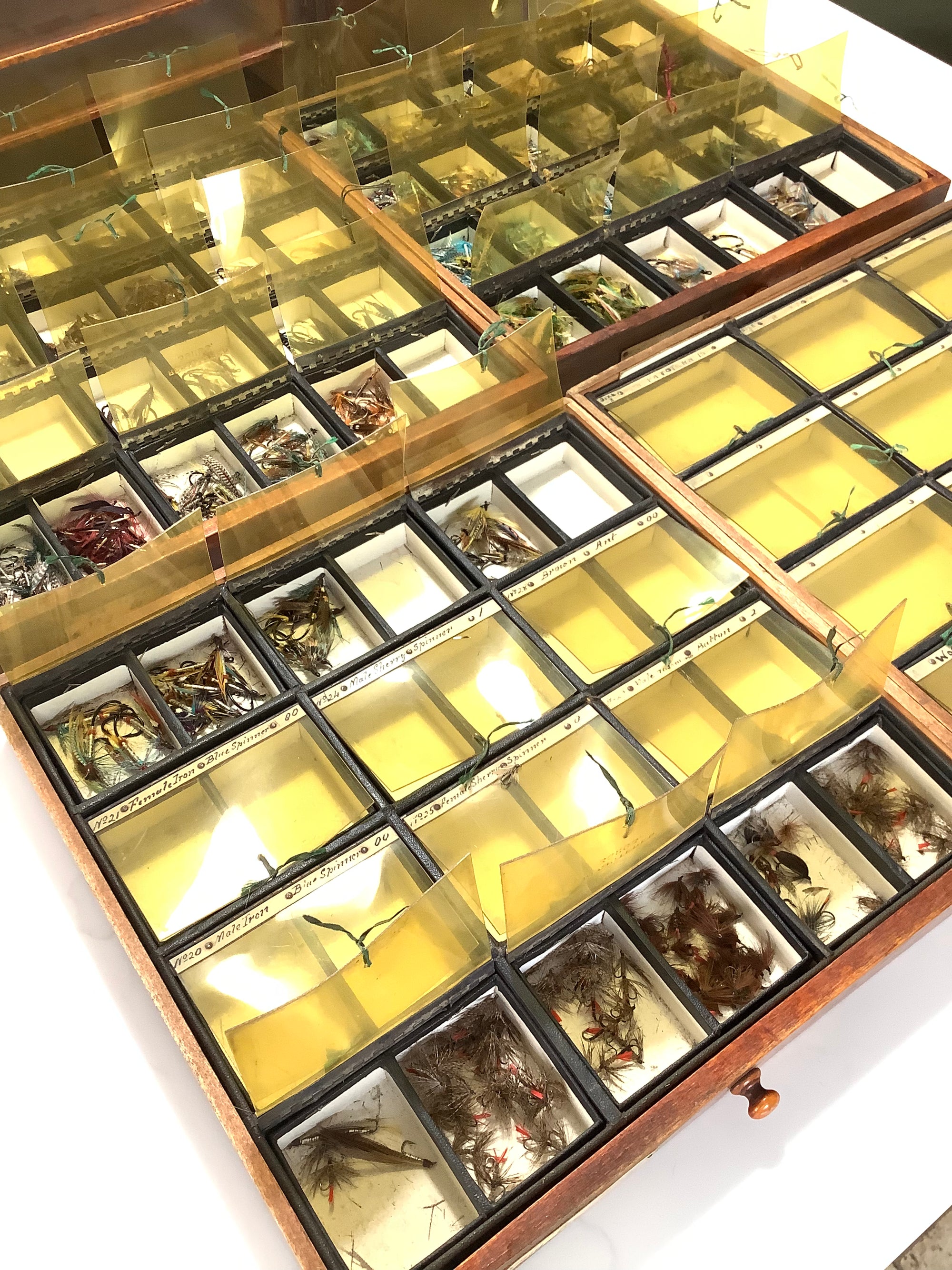 Antique Hardwood Fly Cabinet with 100s of Flies