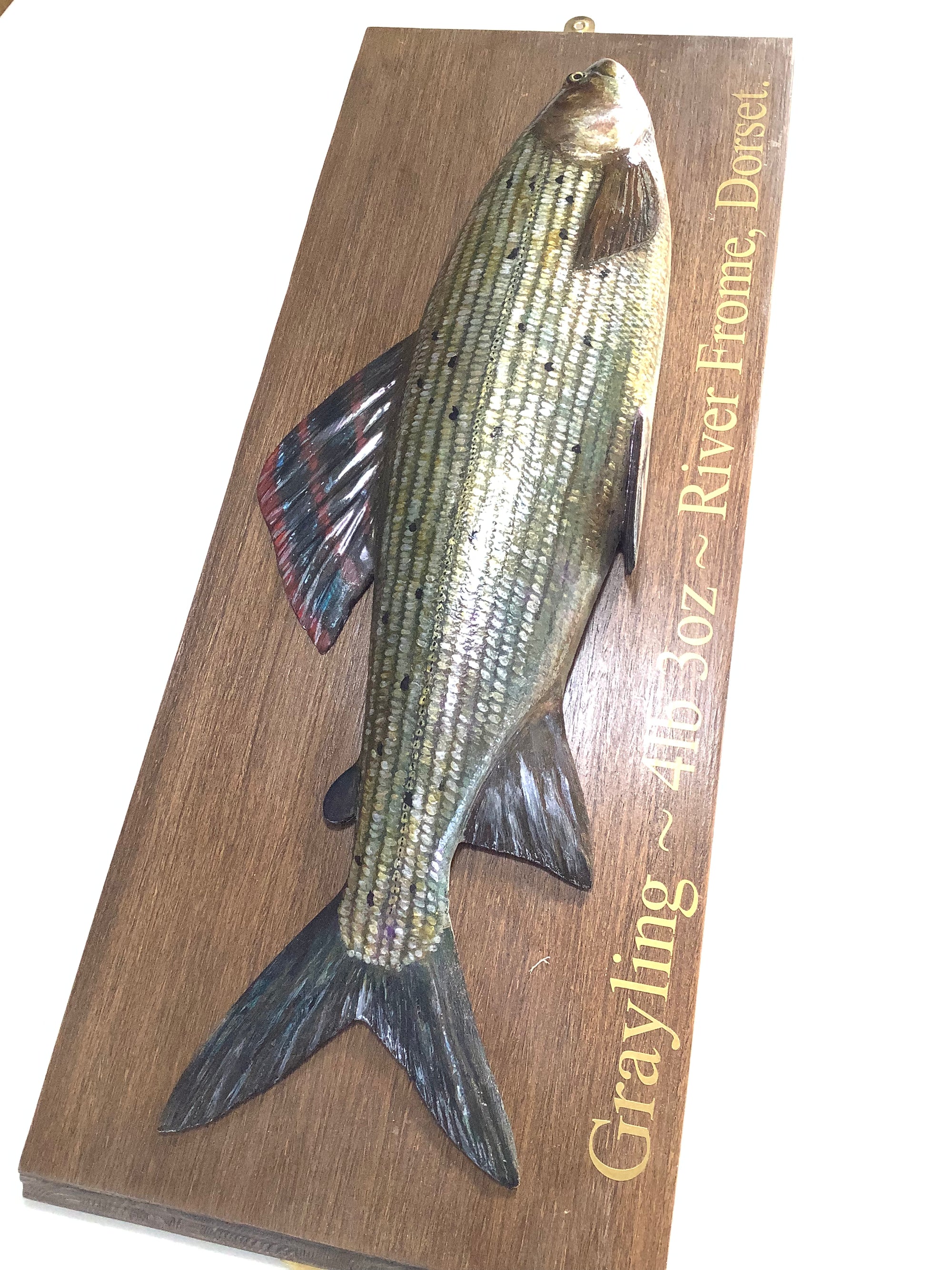 Hand Wood Carved & Realistically Painted GRAYLING By Artist/Master Carver MARC WILLIAMS