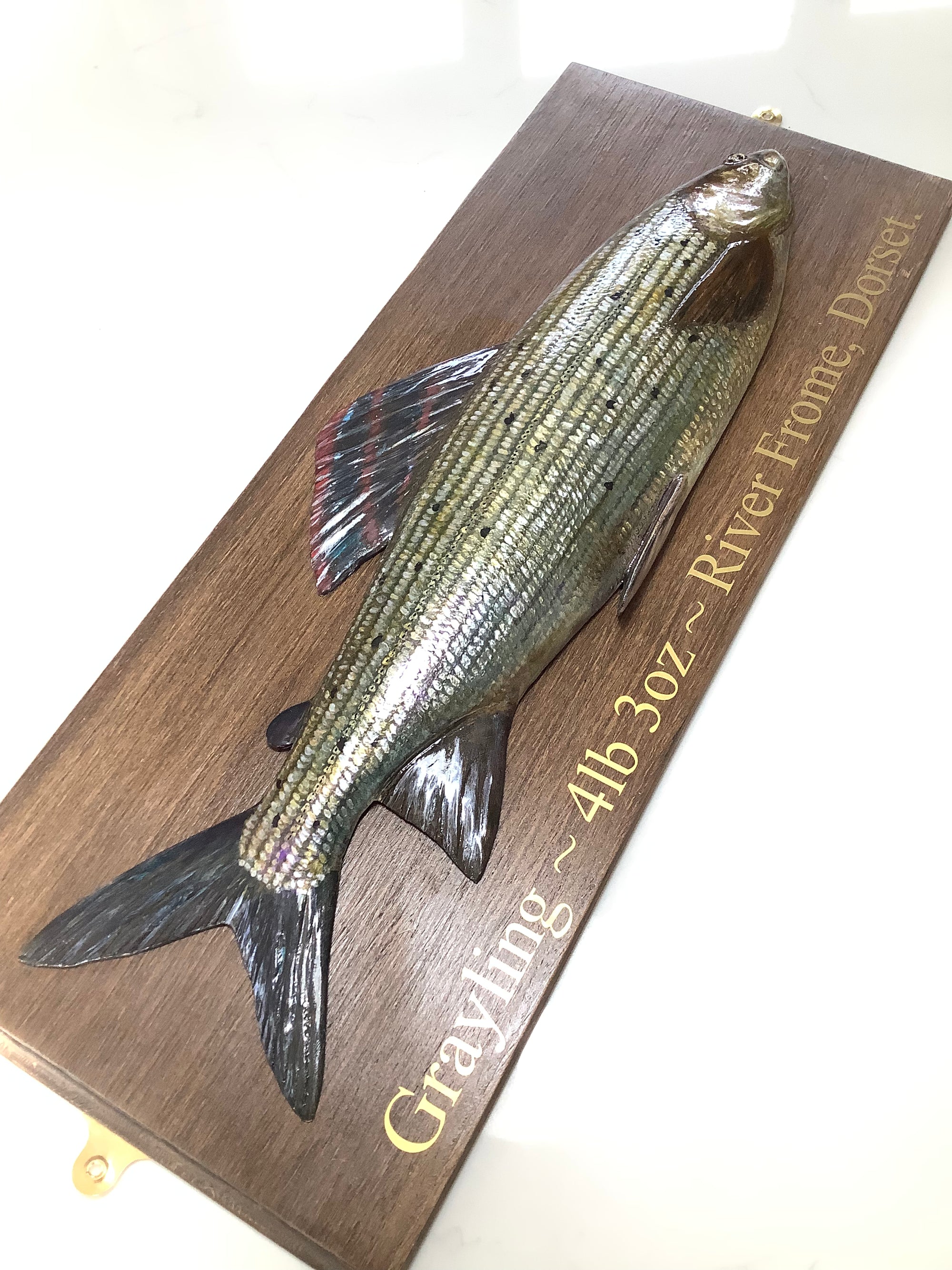 Hand Wood Carved & Realistically Painted GRAYLING By Artist/Master Carver MARC WILLIAMS