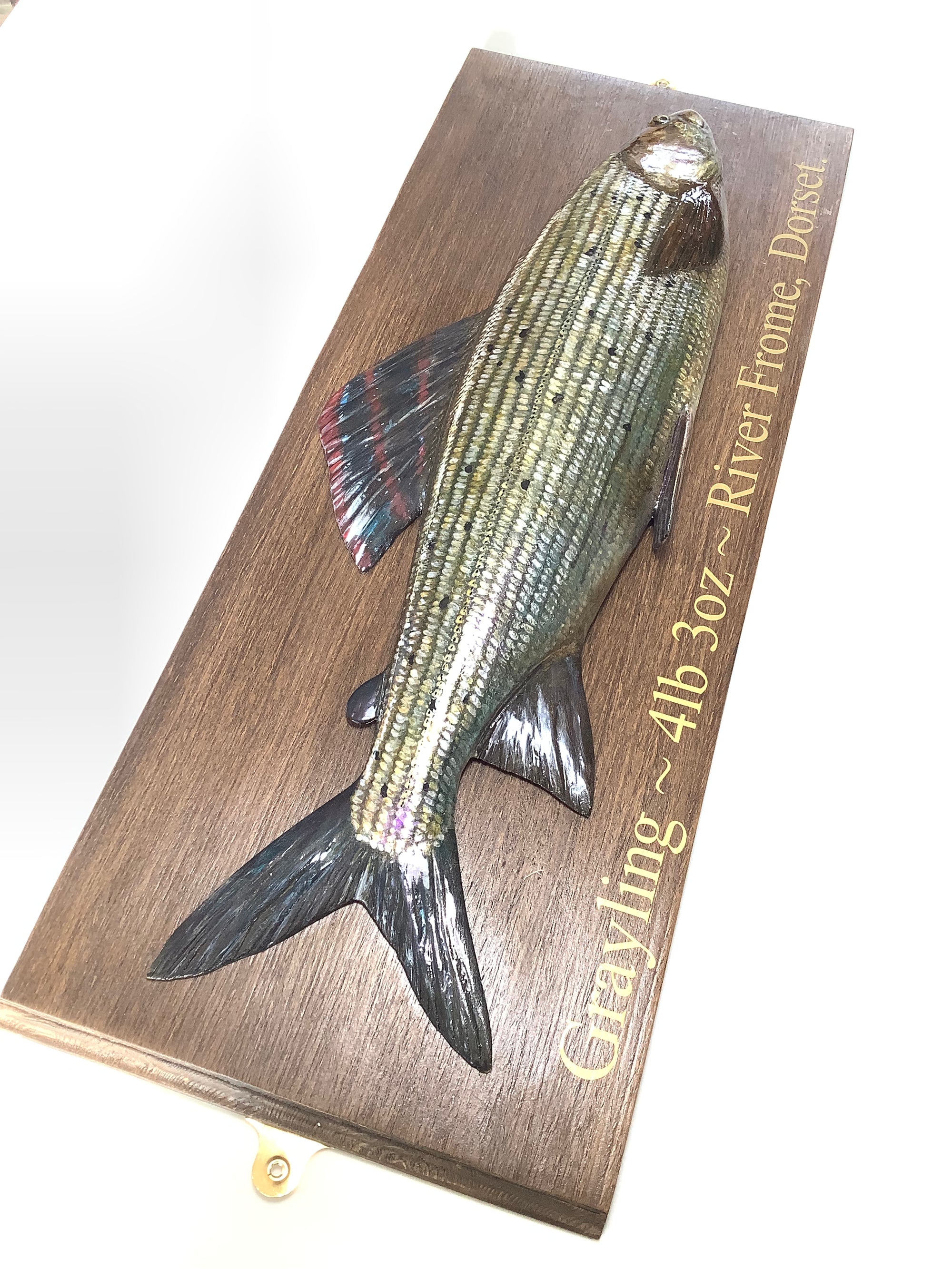 Hand Wood Carved & Realistically Painted GRAYLING By Artist/Master Carver MARC WILLIAMS