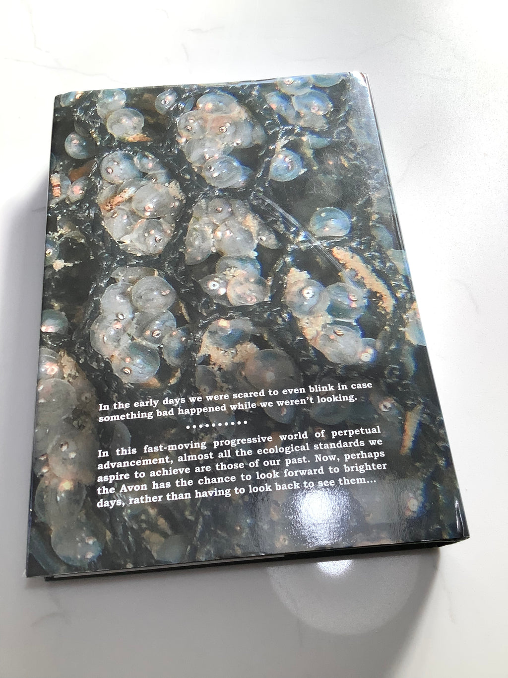 AVON ROACH PROJECT By Trevor Harrow & Budgie Price, SIGNED
