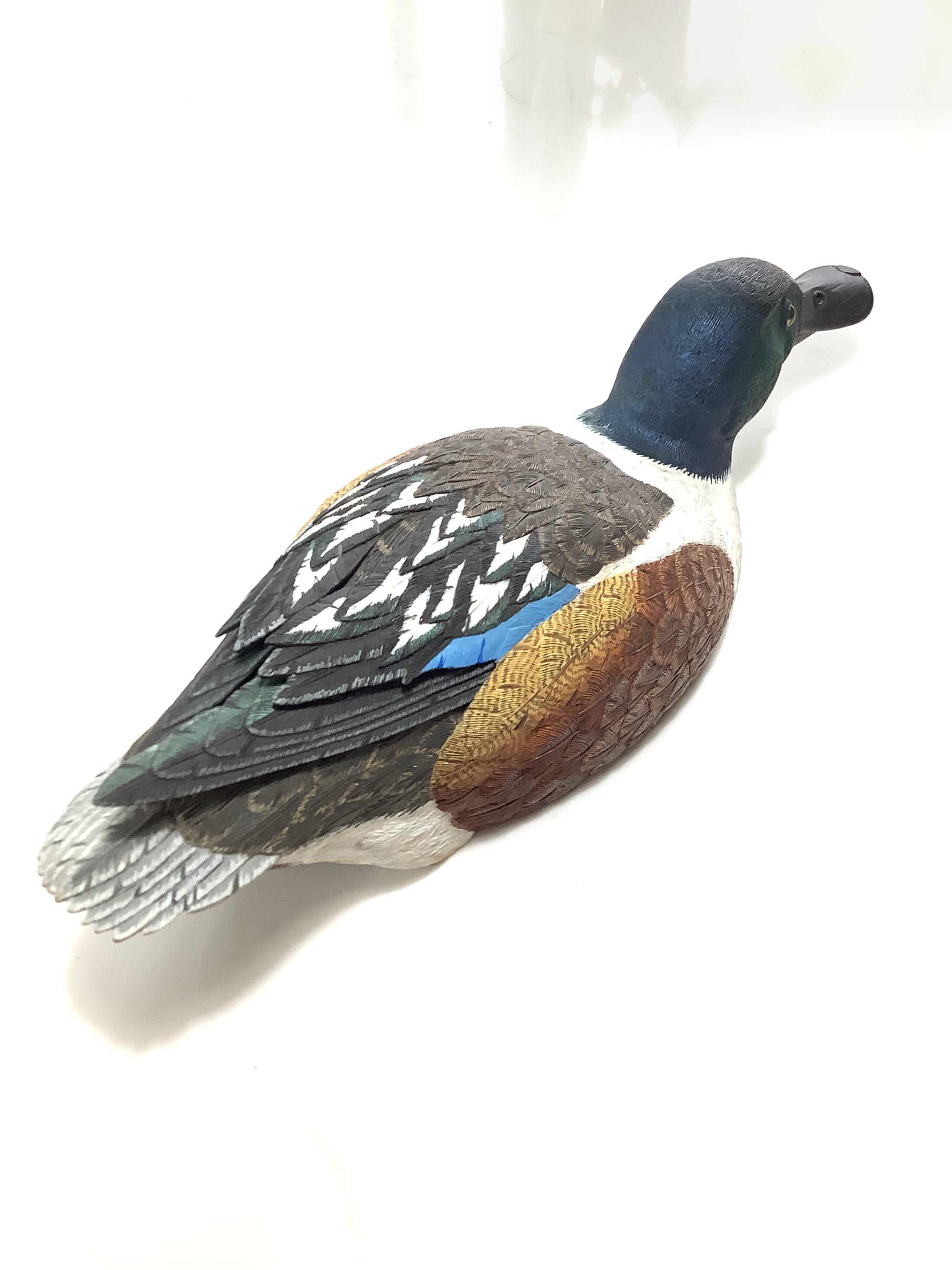 Hand Carved Realistically Painted SHOVELER Duck By Master Bird Carver Colin Clark