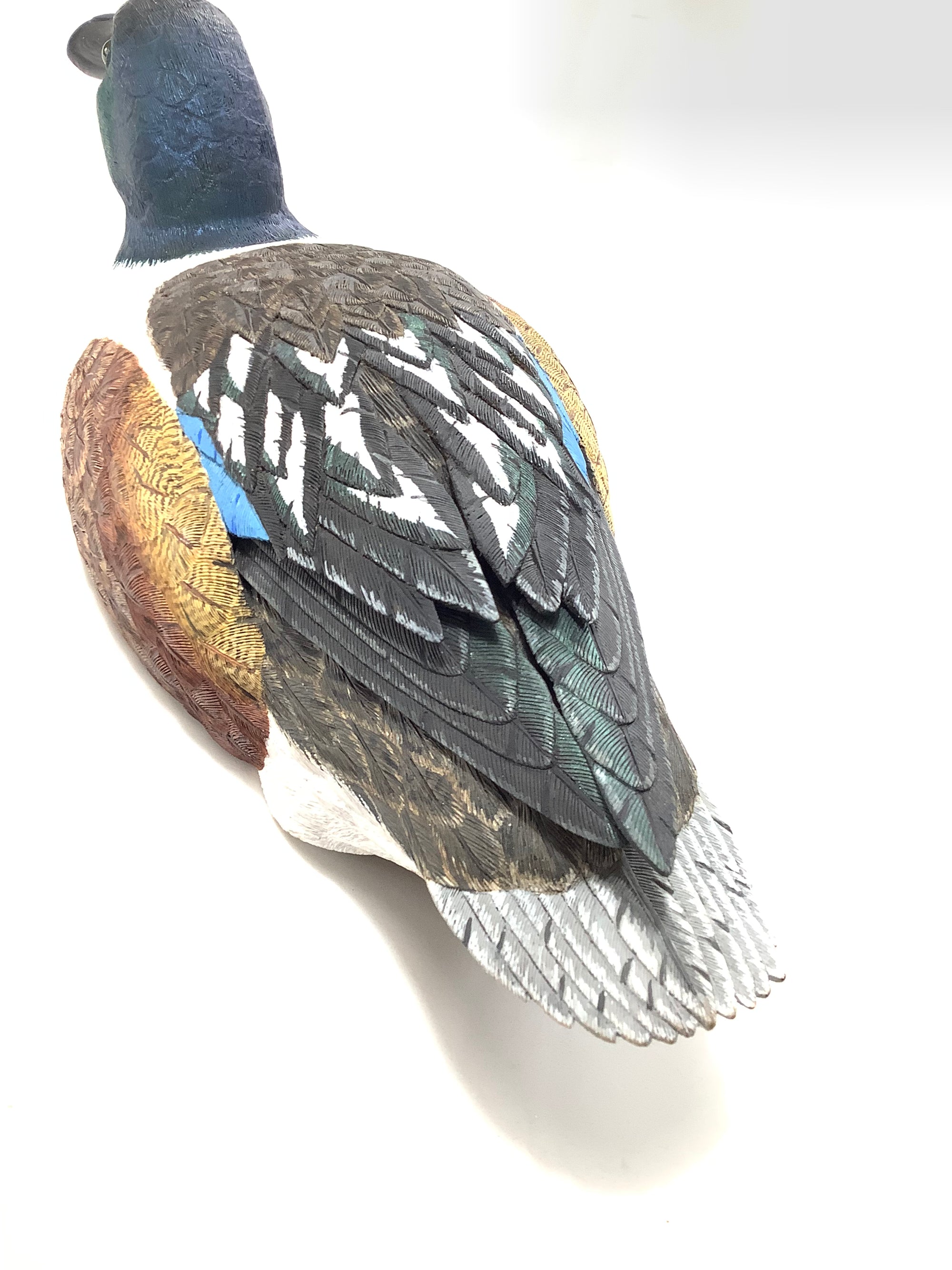 Hand Carved Realistically Painted SHOVELER Duck By Master Bird Carver Colin Clark