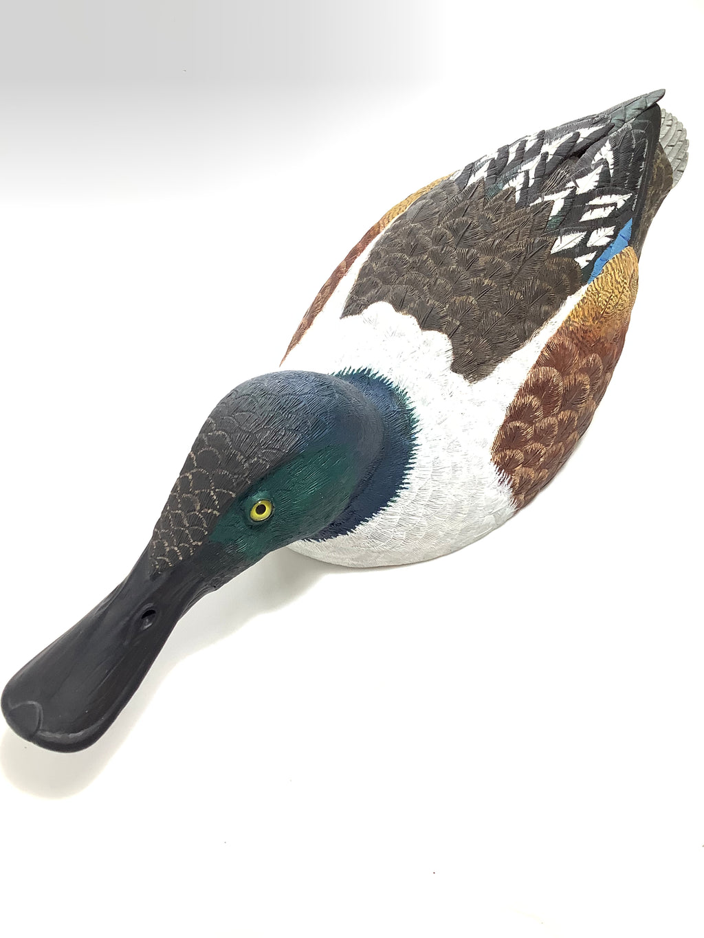 Hand Carved Realistically Painted SHOVELER Duck By Master Bird Carver Colin Clark