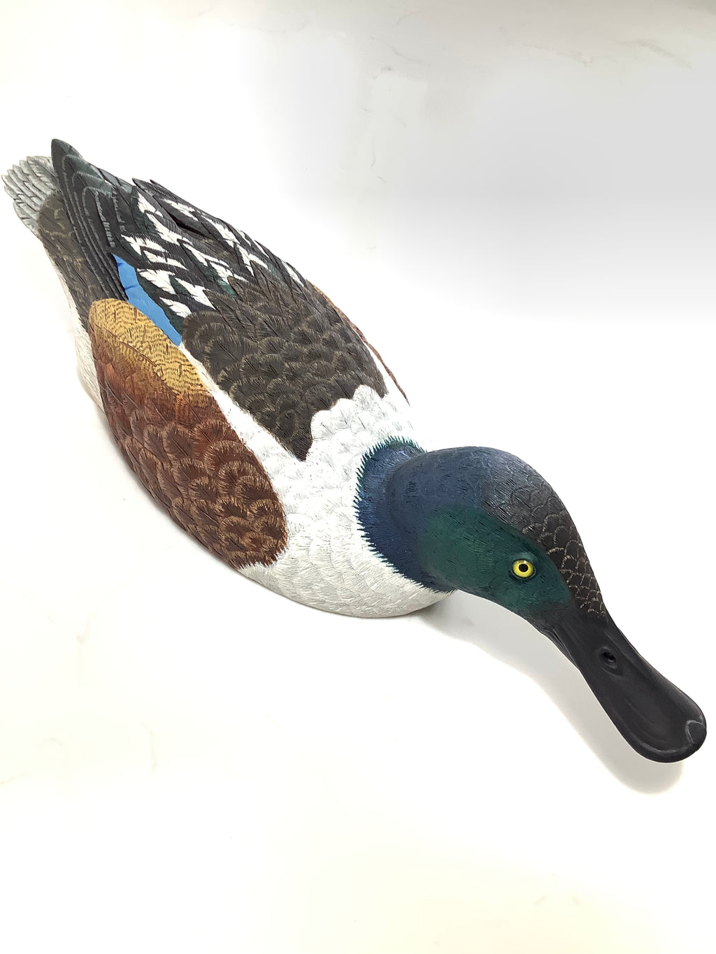 Hand Carved Realistically Painted SHOVELER Duck By Master Bird Carver Colin Clark