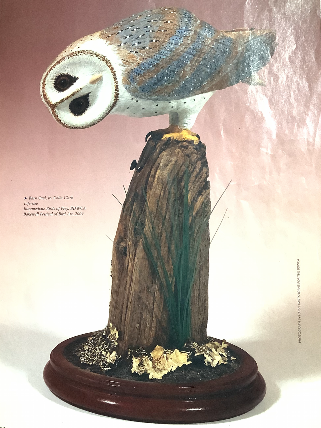 Hand Carved & Painted Crafted Teal By Master Craftsman Colin Clark BDWCA Award Winner
