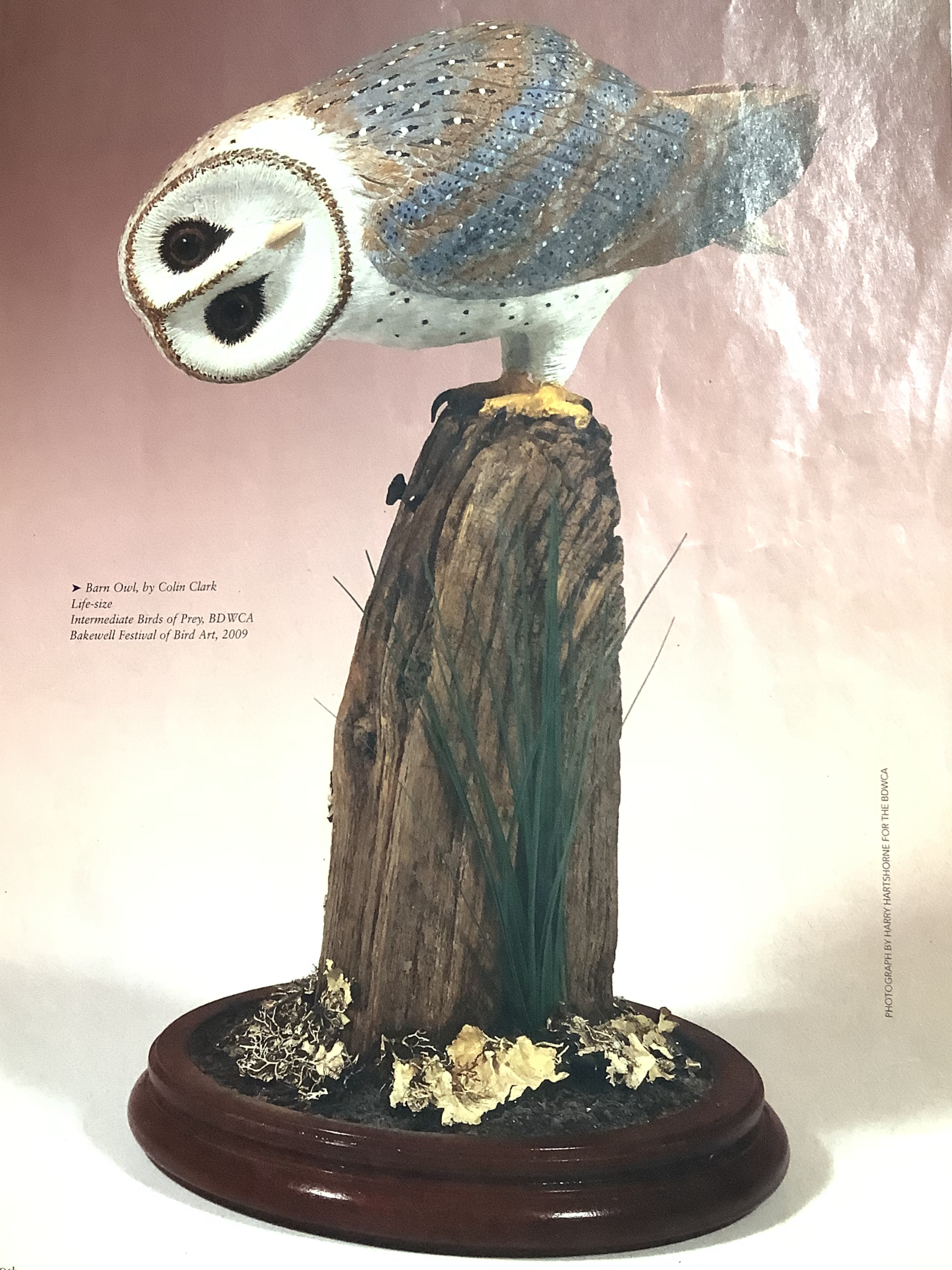 Hand Carved/Painted LOON By Master carver Colin Clark