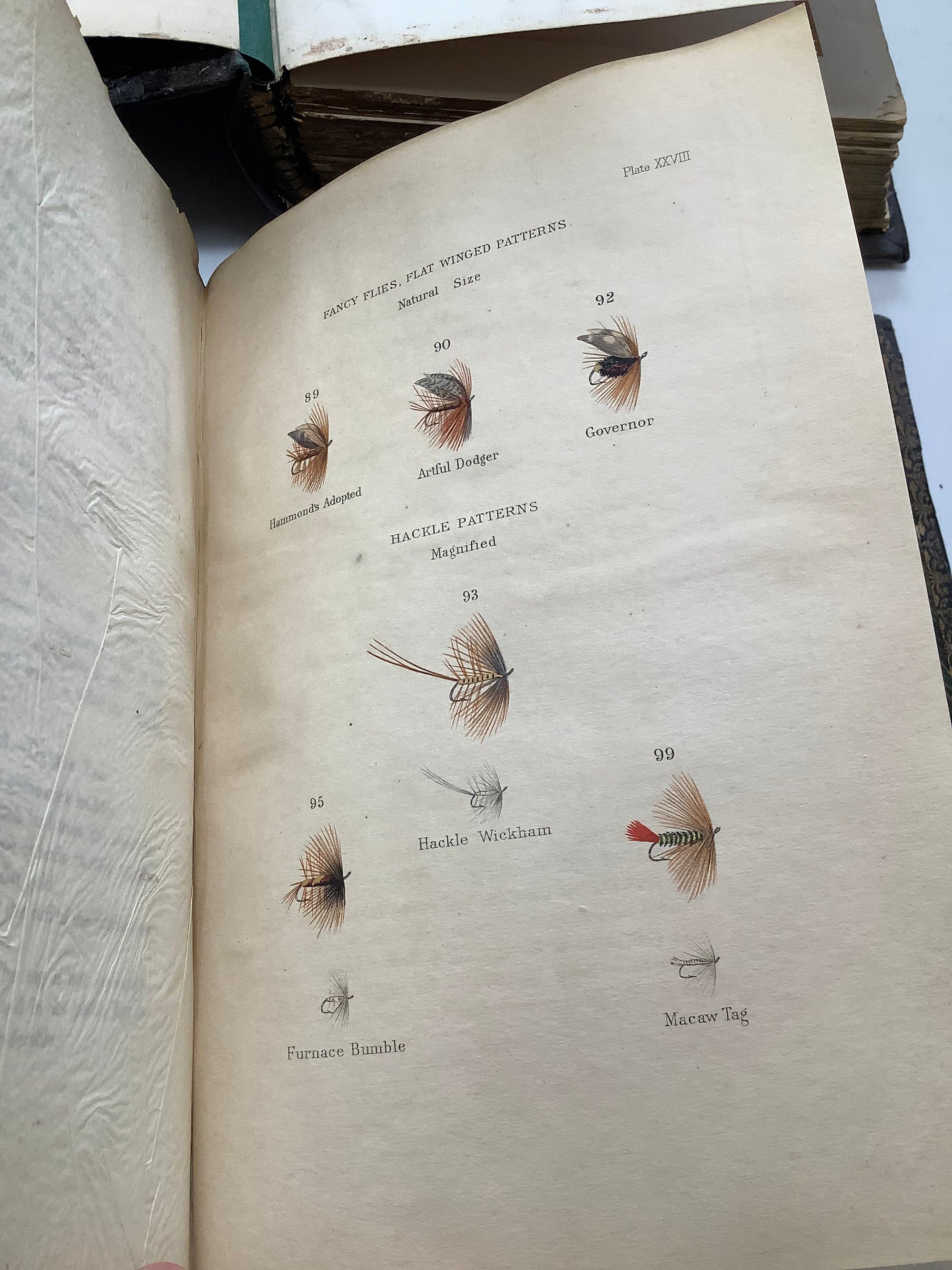 Antique DRY FLY ENTOMOLOGY Limited DE LUXE EDITION By F.M Halford 2 x Vol