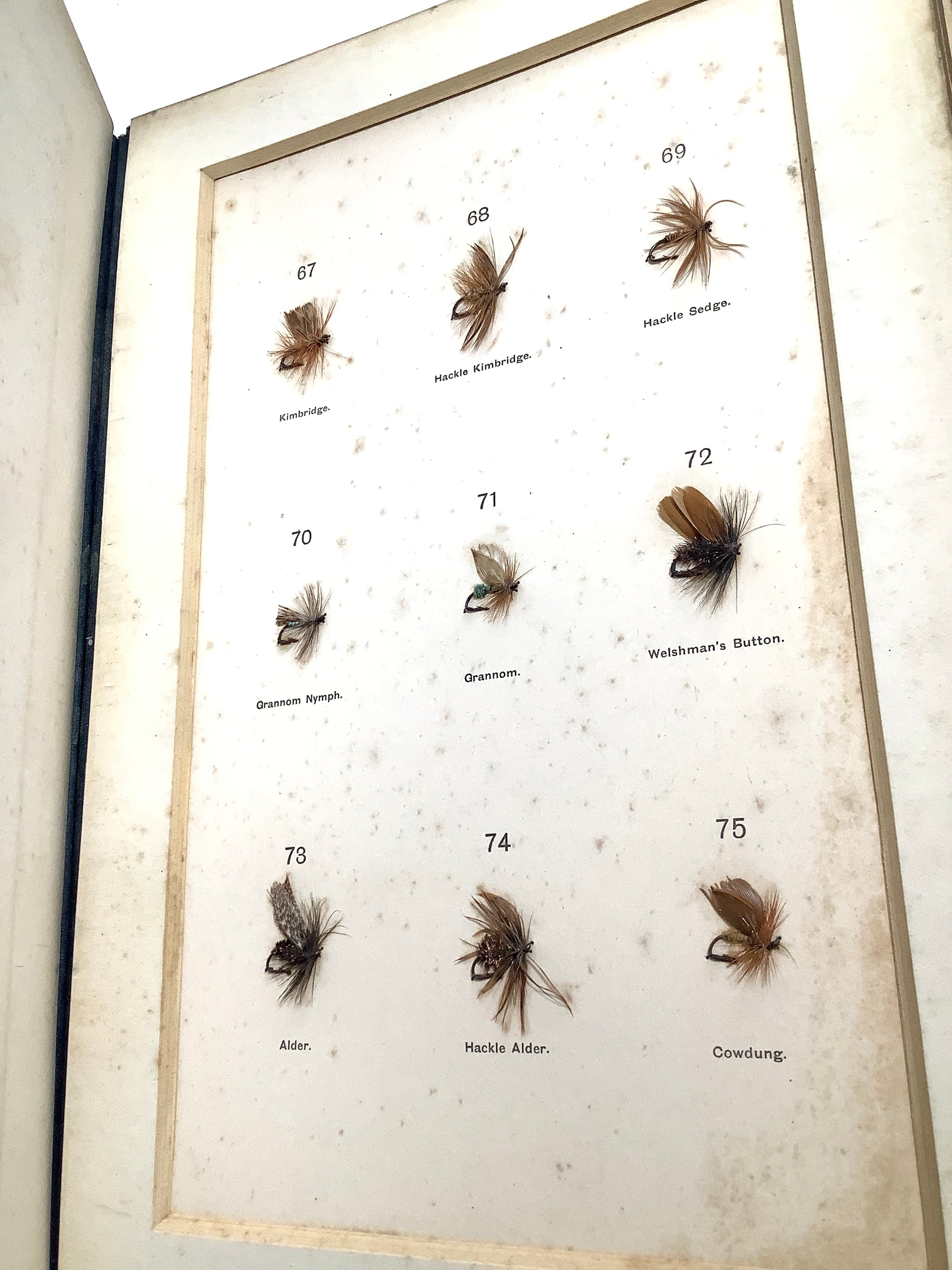 Antique DRY FLY ENTOMOLOGY Limited DE LUXE EDITION By F.M Halford 2 x Vol