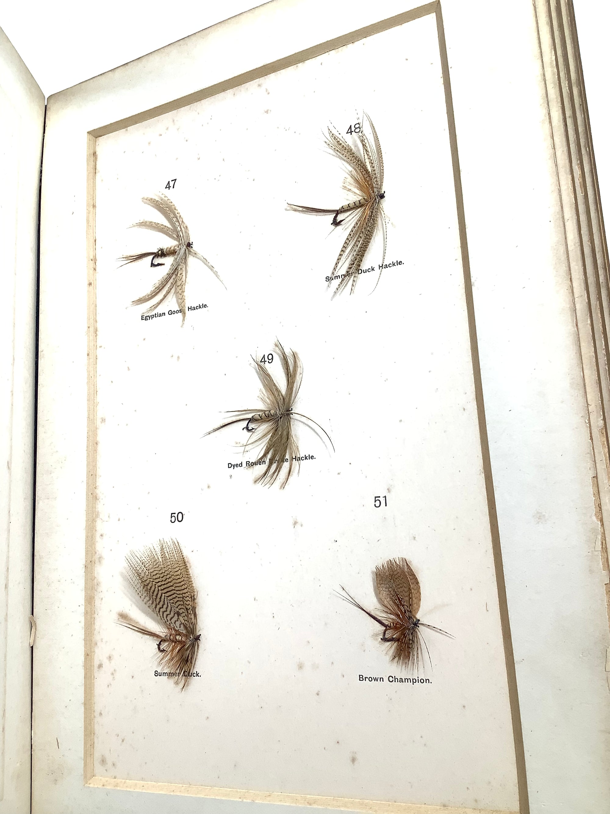 Antique DRY FLY ENTOMOLOGY Limited DE LUXE EDITION By F.M Halford 2 x Vol