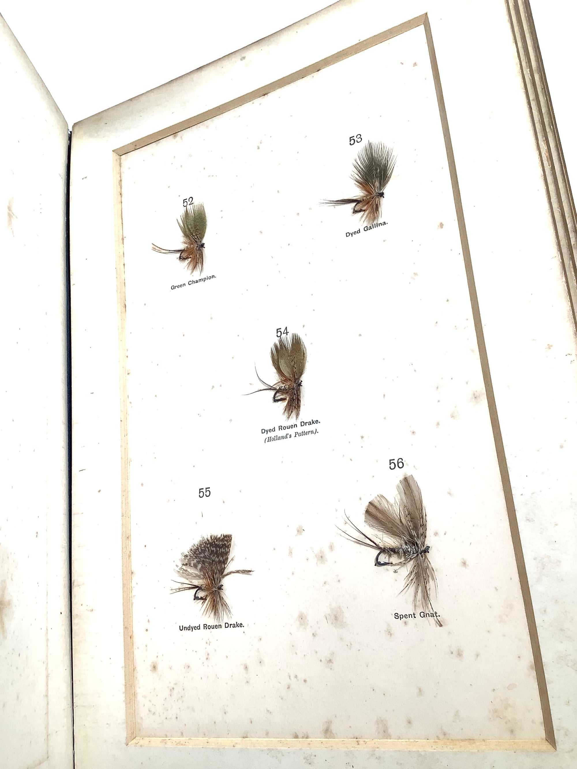 Antique DRY FLY ENTOMOLOGY Limited DE LUXE EDITION By F.M Halford 2 x Vol