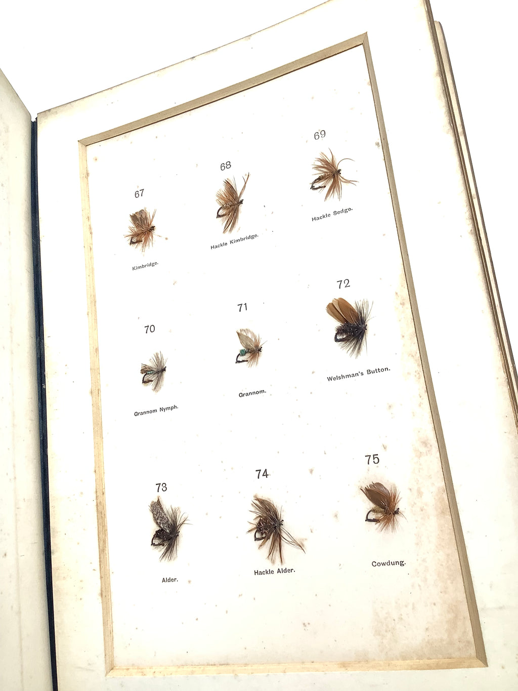 Antique DRY FLY ENTOMOLOGY Limited DE LUXE EDITION By F.M Halford 2 x Vol