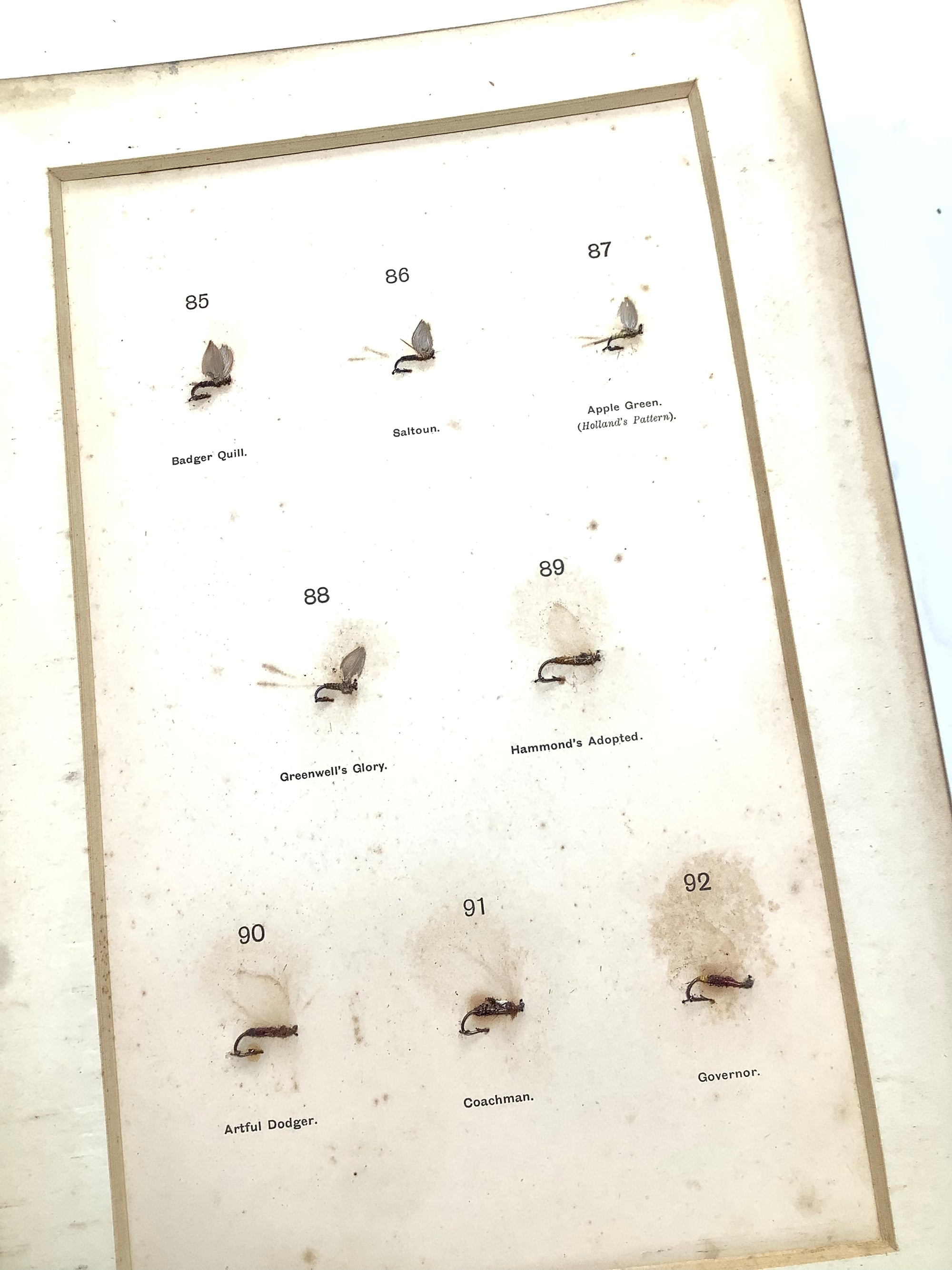 Antique DRY FLY ENTOMOLOGY Limited DE LUXE EDITION By F.M Halford 2 x Vol