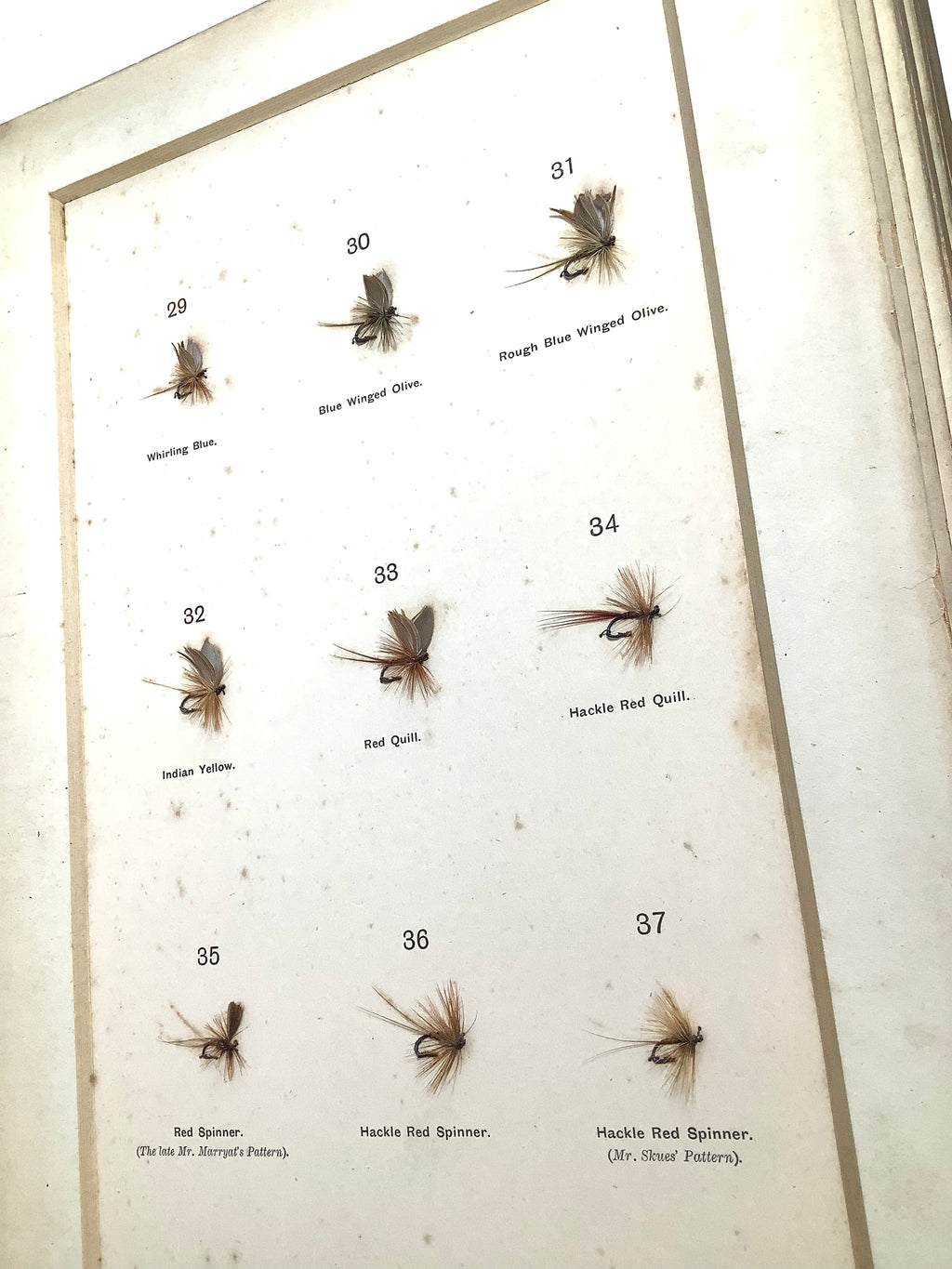 Antique DRY FLY ENTOMOLOGY Limited DE LUXE EDITION By F.M Halford 2 x Vol