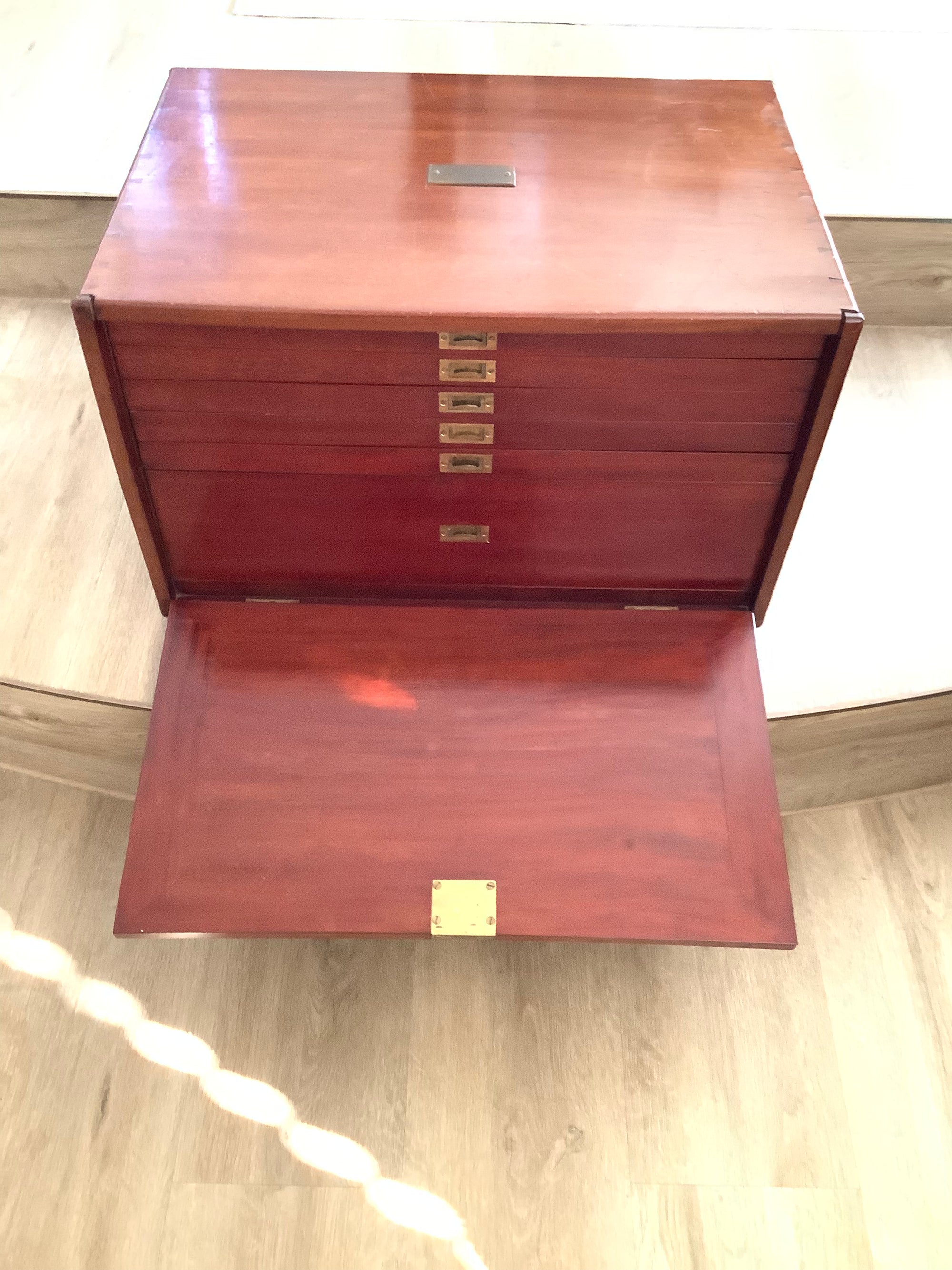 Antique Mahogany Fly Cabinet with over 2000 Flies
