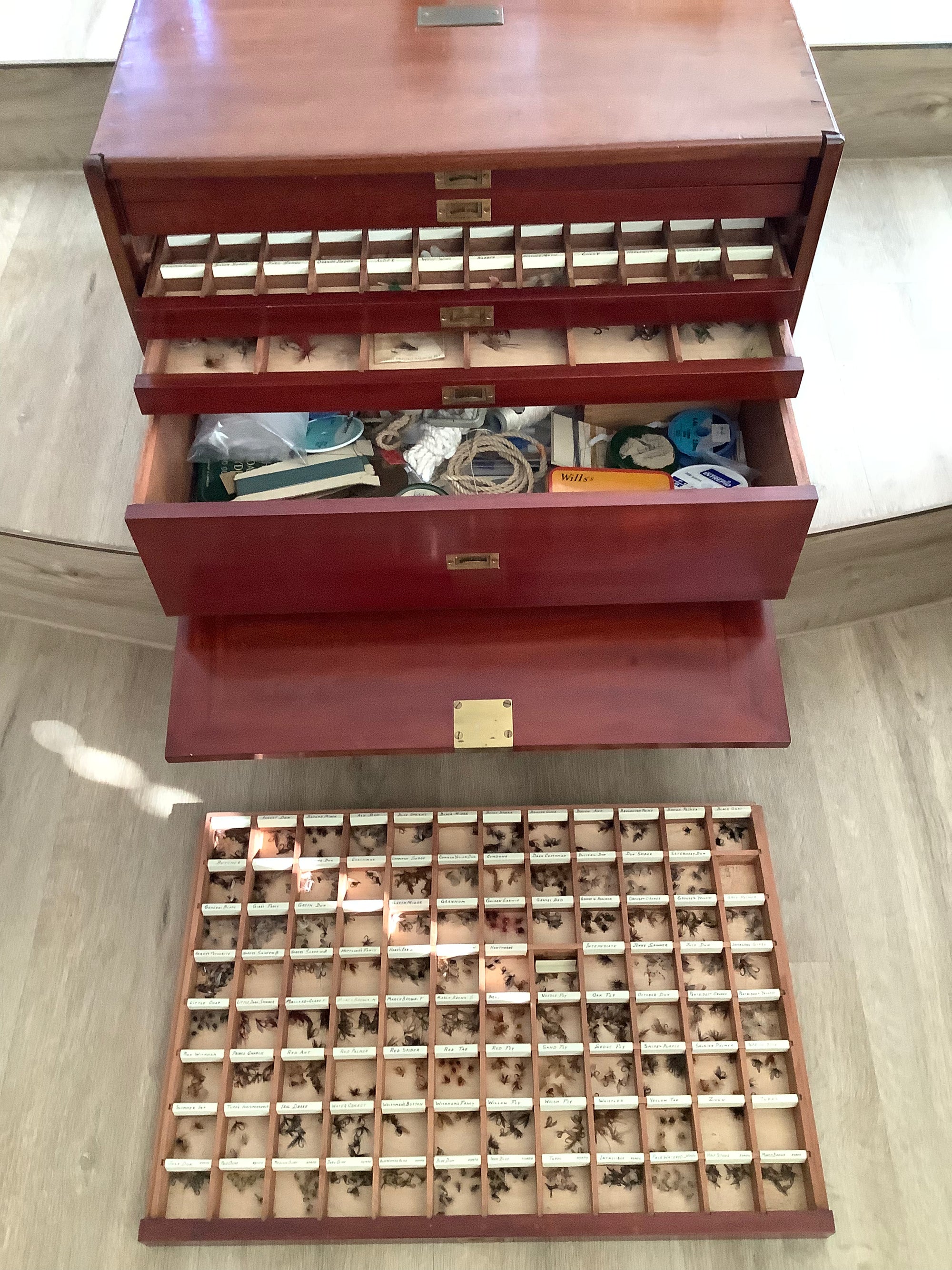 Antique Mahogany Fly Cabinet with over 2000 Flies