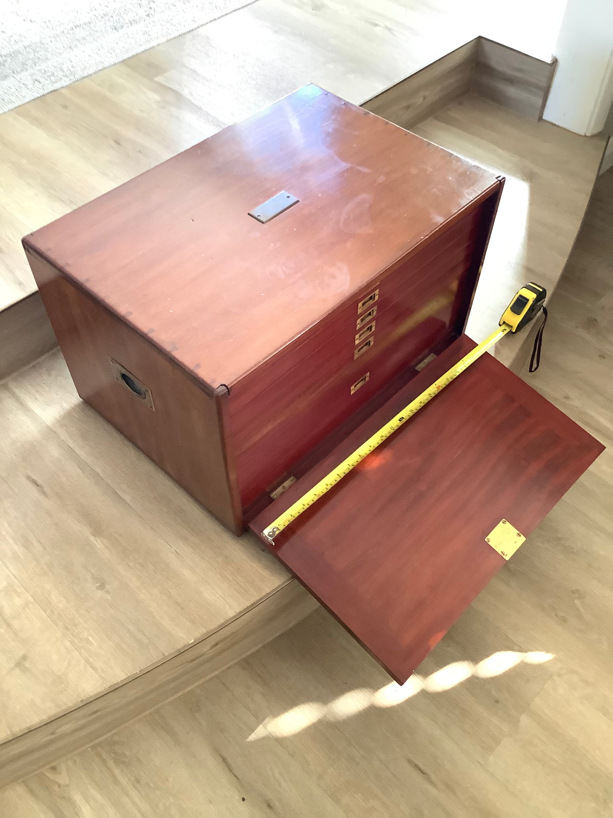 Antique Mahogany Fly Cabinet with over 2000 Flies