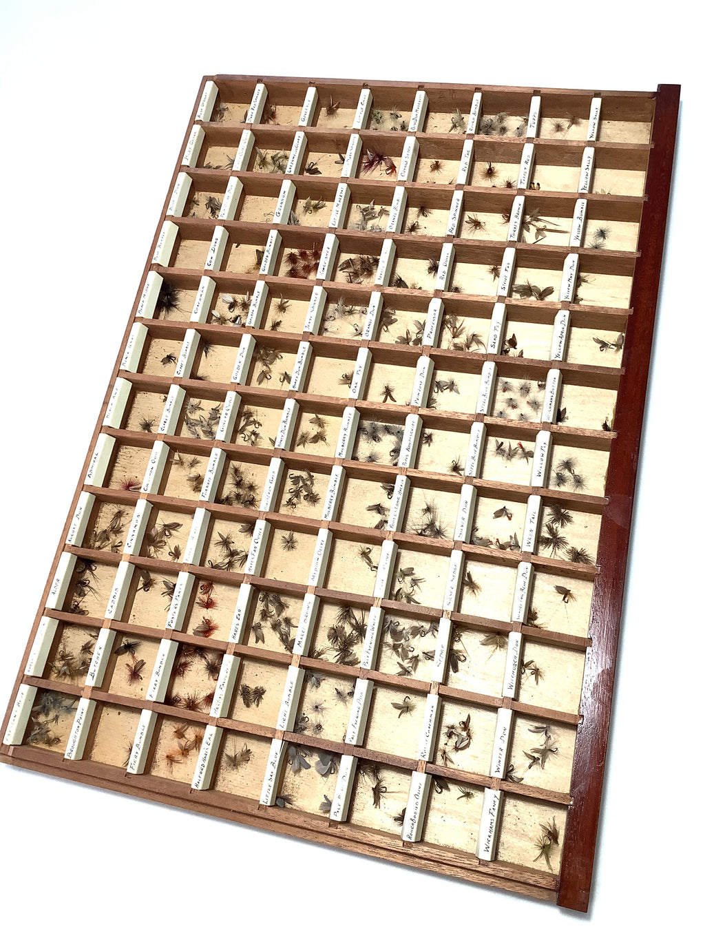 Antique Mahogany Fly Cabinet with over 2000 Flies