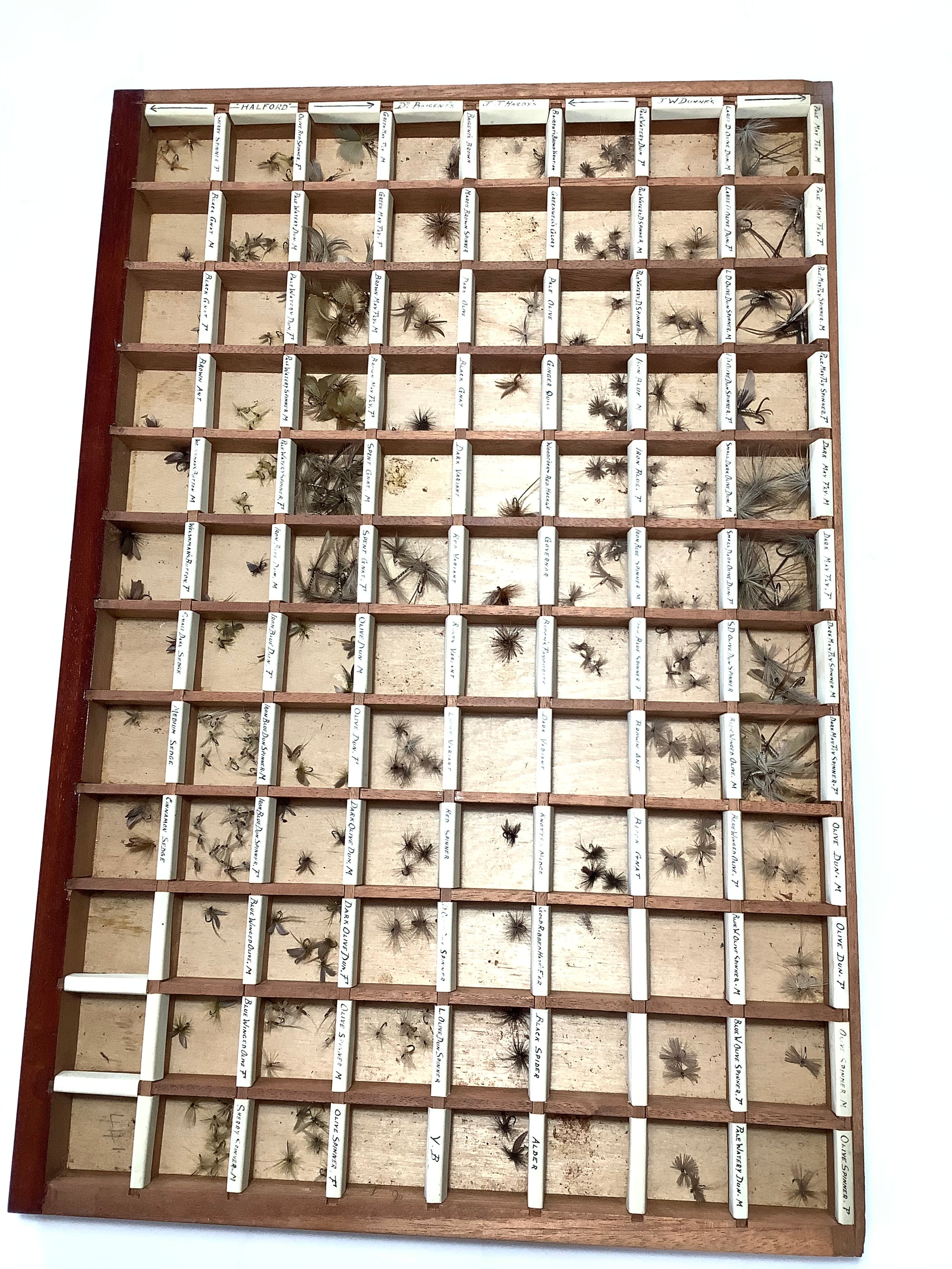 Antique Mahogany Fly Cabinet with over 2000 Flies