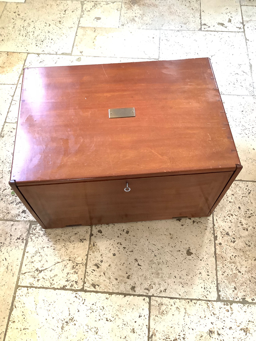 Antique Mahogany Fly Cabinet with over 2000 Flies