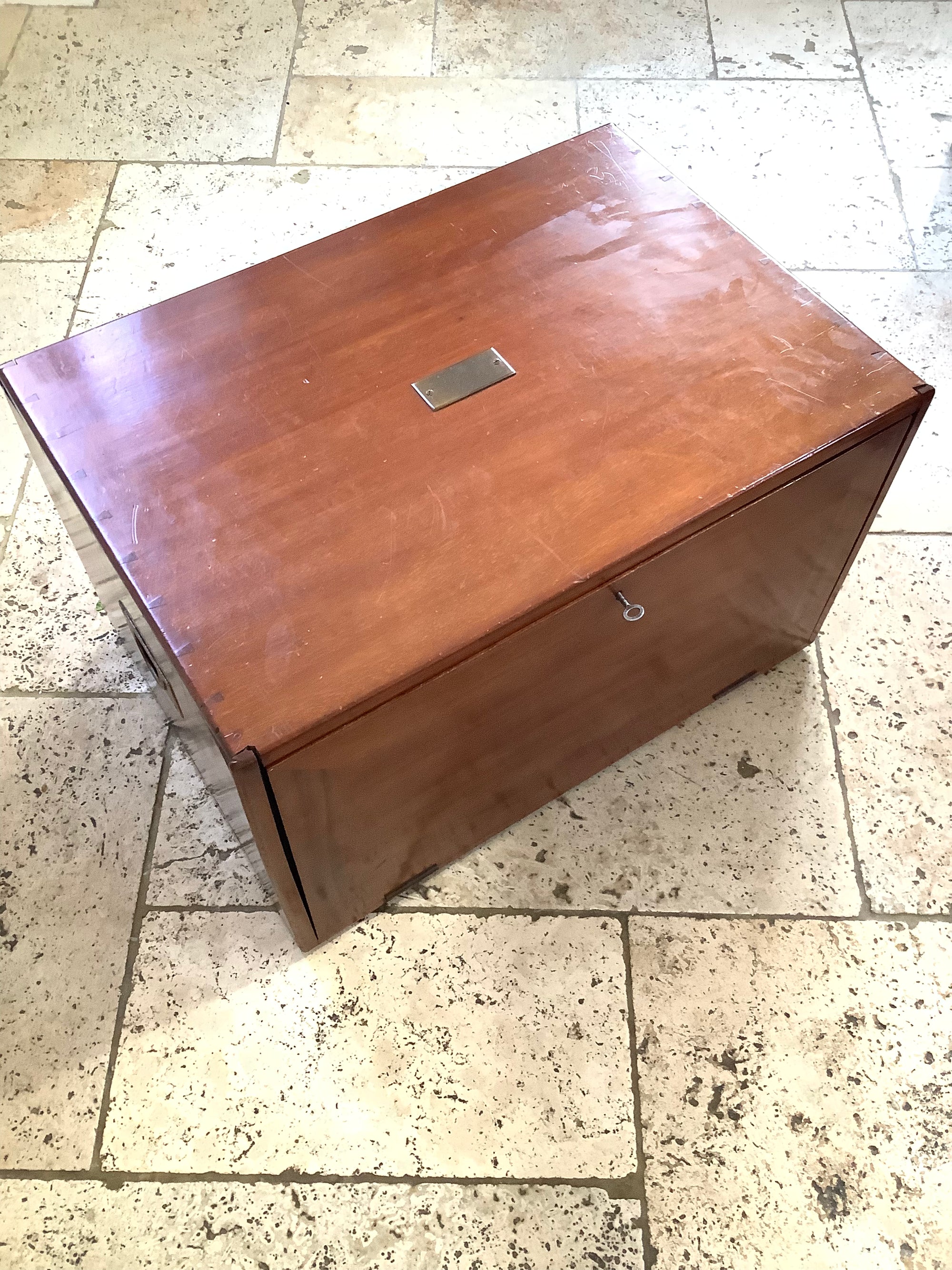 Antique Mahogany Fly Cabinet with over 2000 Flies